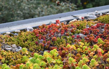 the cost of Manchester green roof installation