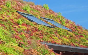 Manchester living roof systems